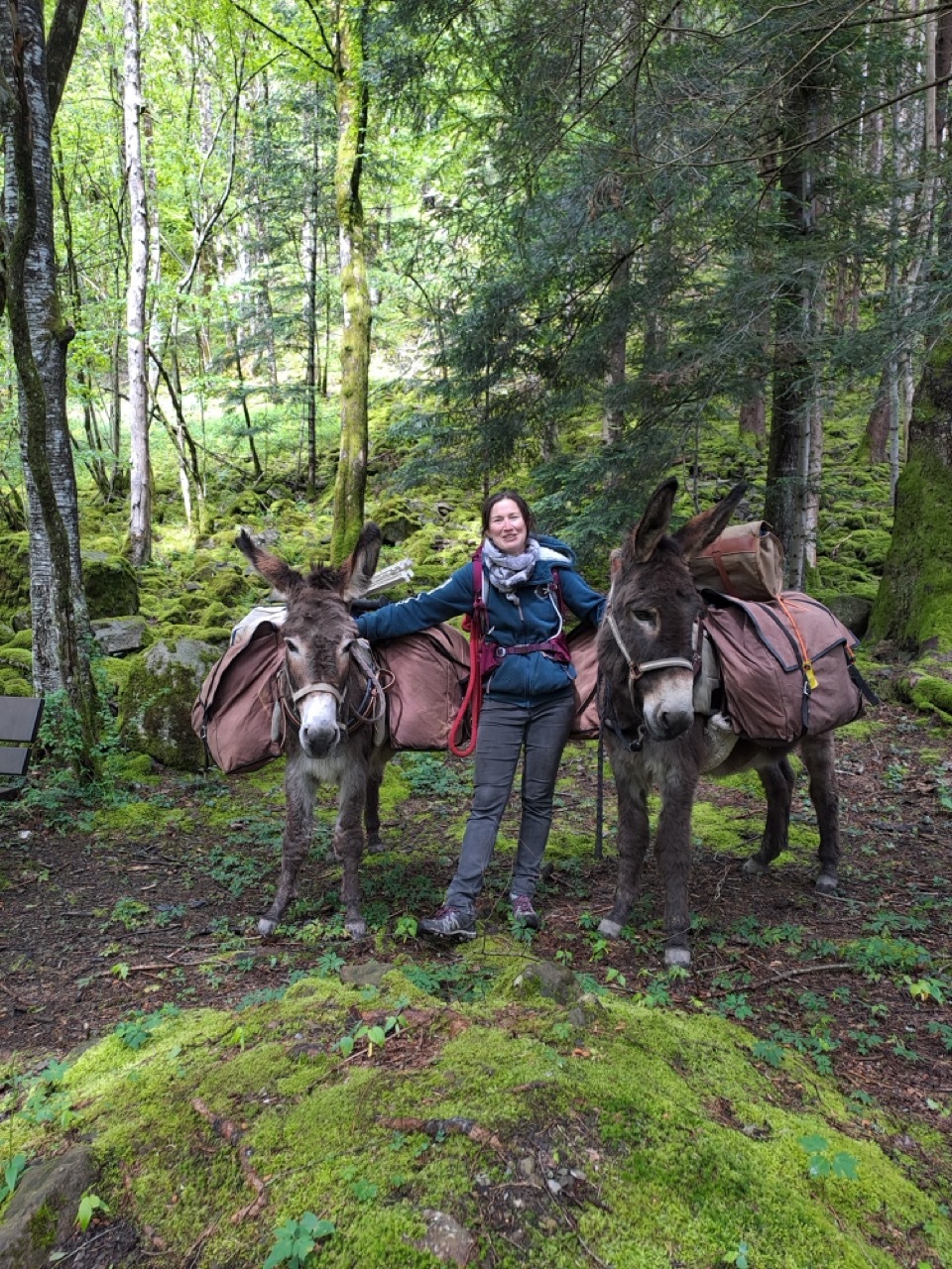 Armelle avec les ânes dans la forêt